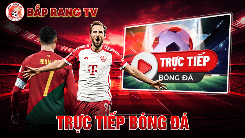 Tại baprangtv không bỏ sót các trận đấu của những đội tuyển quốc gia lớn như Pháp, Anh, Bồ Đào Nha, Tây Ban Nha, Đức, Brazil, Argentina, Bỉ