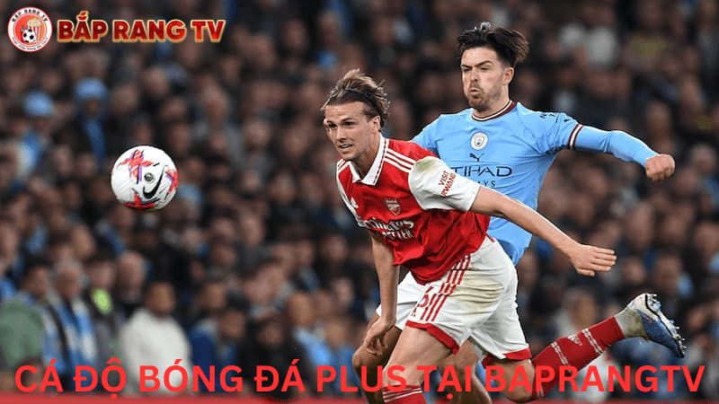 Vì sao nên chơi cá độ bóng đá plus tại trang web Bắp rang TV