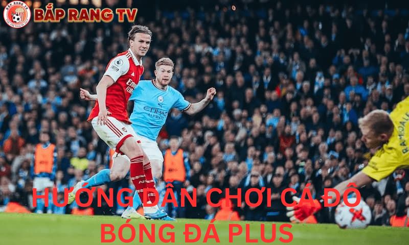 Hướng dẫn chơi cá độ bóng đá plus trực tuyến tại Baprang TV