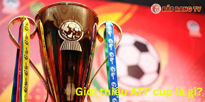 BaprangTV-Giới thiệu AFF cup là gì ?