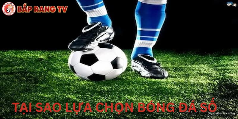 Lý do lựa chọn bóng đá số baprangtv