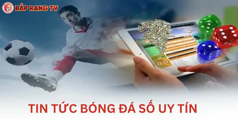 Chuyên mục cung cấp bóng đá uy tín